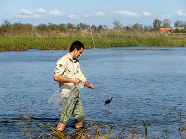 کشف و ضبط 5 رشته تور غیرمجاز ماهیگیری در میاندوآب