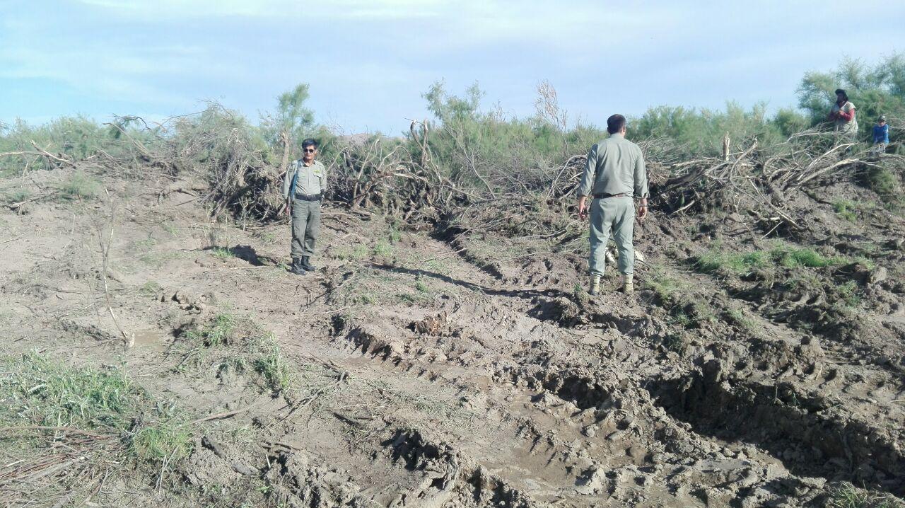 کشف ۷ فقره تخریب در منطقه حفاظت شده تالاب نوروزلو میاندوآب