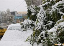 بارش برف و شکستن درختان دلیل قطعی برق در برخی مناطق میاندوآب/ امداد‌رسان به ۳۰۰ خودرو گرفتار در کولاک امدادرسانی کردند