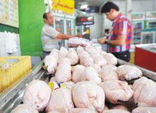 توزیع ۵ تن گوشت مرغ منجمد در میاندوآب آغاز شد