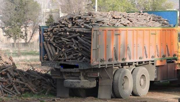 ۲۵ تن چوب قاچاق در میاندوآب توقیف شد