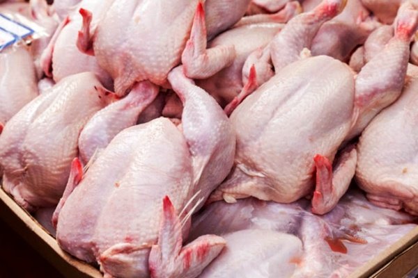 کشف محموله ۱۸ تنی مرغ کشتارروز در میاندوآب‌