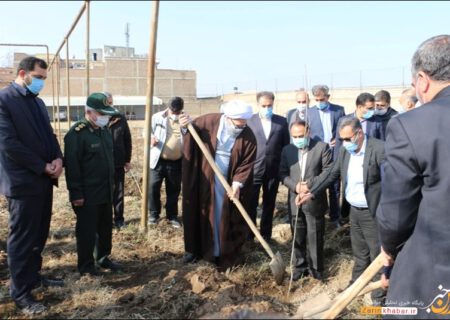 غرس ۱۵۰۰ اصله نهال در هفته منابع طبیعی در میاندوآب