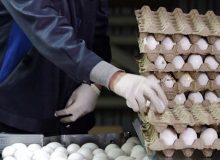 کشف ۴ تن تخم مرغ خارج از شبکه توزیع در میاندوآب