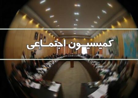 اعضای هیات رئیسه کمیسیون اجتماعی برای اجلاسیه سوم مشخص شدند/ عیسی‌زاده رئیس شد