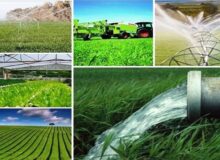 مدرناسیون و نوین سازی صنایع تبدیلی نیاز جدی کشاورزی آذربایجان غربی است