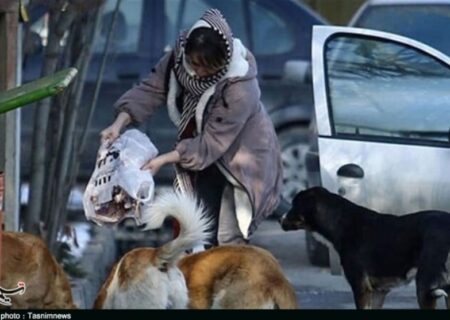 هشدار دامپزشکی/ سگ‌های ولگرد بعد از تزریق واکسن بی‌خطر نمی‌شوند