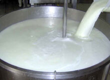 ۲۵ تن شیر فاسد و غیر بهداشتی در میاندوآب کشف و ضبط شد
