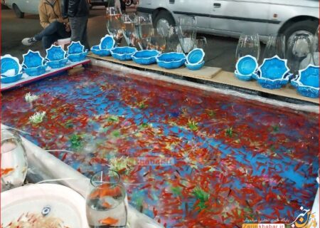 بازار داغ ماهی قرمز شب عید در میاندوآب