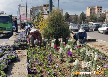 میاندوآب با کاشت ۱۰ هزار گل به استقبال بهار می رود