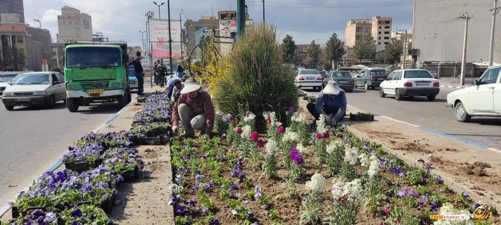 کاشت هزاران بوته گل در میادین شهری میاندوآب
