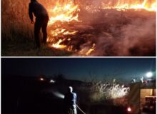 آتش سوزی در منطقه حفاظت شده تالاب نوروزلو میاندوآب مهار شد