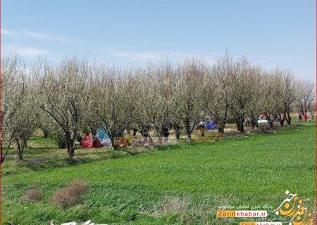 سیزده بدری با رنگ و بوی رمضان در میاندوآب