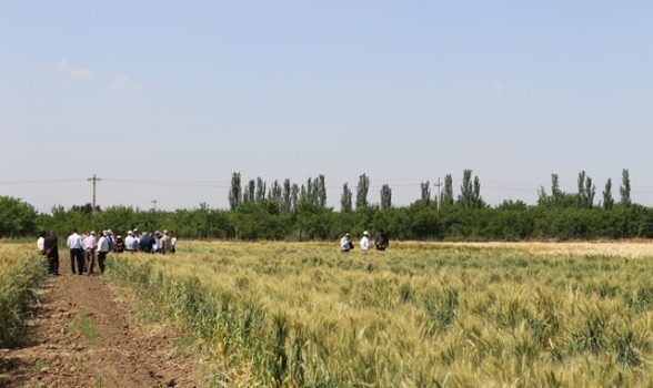 مراکز جهاد کشاورزی سبب تقویت زیرساخت‌های کشاورزی برای توسعه می‌شود
