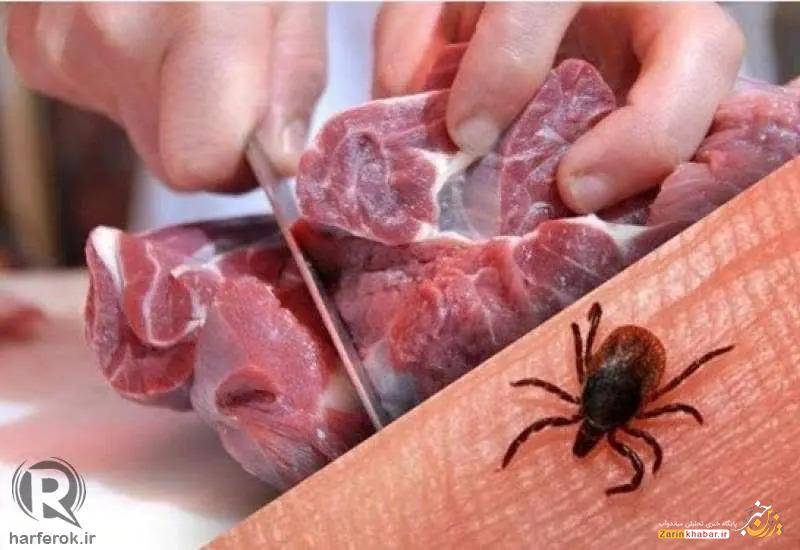 مدیرکل دامپزشکی آذربایجان غربی در خصوص بیماری تب کریمه کنگو هشدار داد