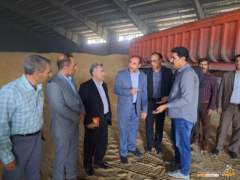 ۵ مرکز خرید تضمینی گندم در میاندوآب فعالیت می کنند