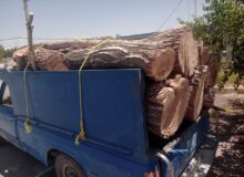 ۲ تن چوب قاچاق در باروق کشف شد