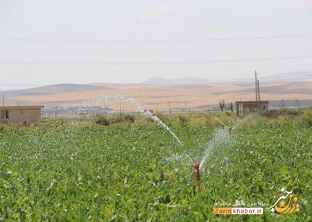 ۹ طرح بخش کشاورزی در میاندوآب به بهره‌برداری رسید