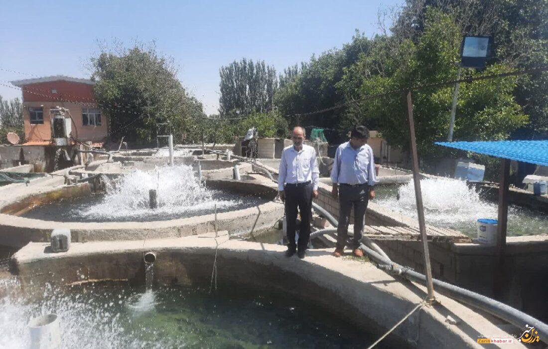 تولید ۵۲۰ تن گوشت ماهی در شهرستان میاندوآب