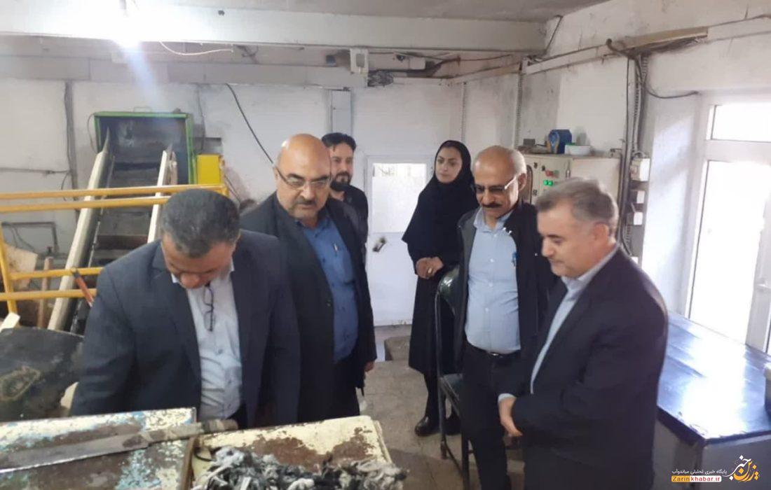 تاکنون ۷۰ هزار تن چغندرقند از کشاورزان خریداری شده است
