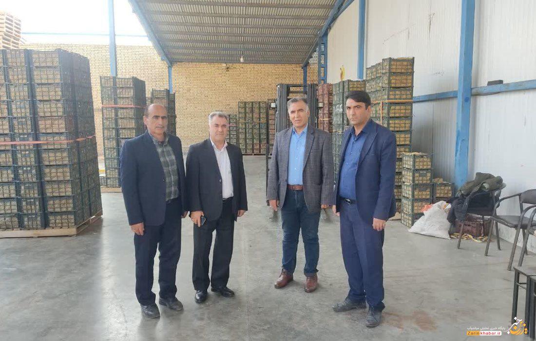ذخیرهسازی ۲۵ هزار تن سیب در سردخانههای میاندوآب