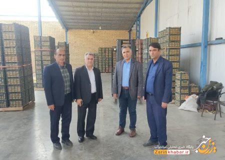ذخیره‌سازی ۲۵ هزار تن سیب در سردخانه‌های میاندوآب
