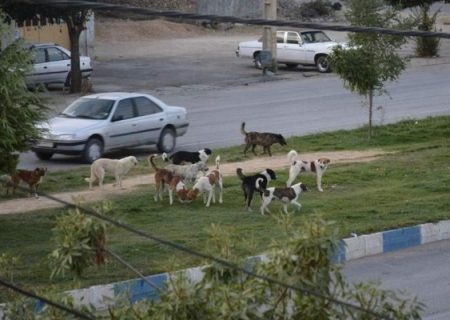 وحشتی که دل شهروندان را چنگ می‌زند