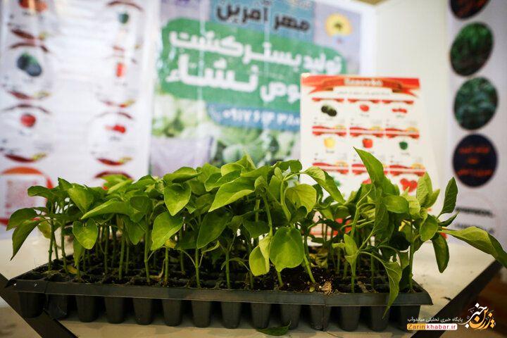 ۱۷ هزار کشاورز در اجرای طرح جامع ترویج احیای دریاچه ارومیه مشارکت دارند