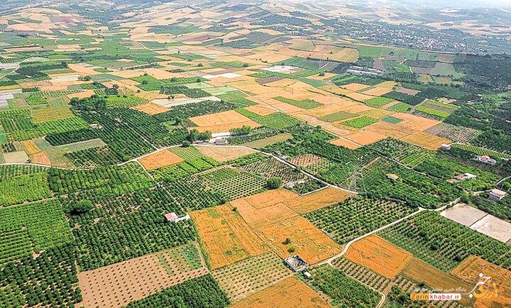 رفع تداخلات ۸۹ درصد اراضی کشاورزی میاندوآب