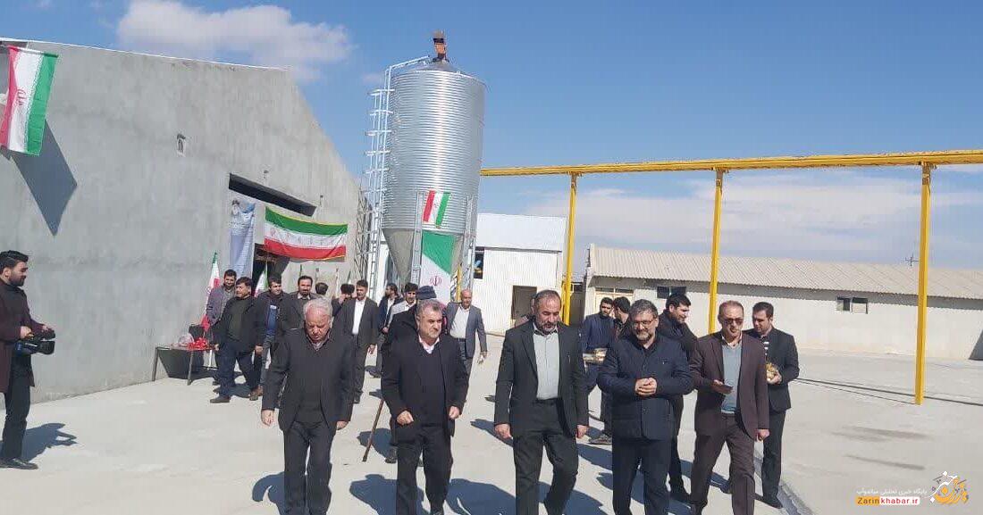 بهرهبرداری از بزرگترین واحد پرورش مرغ تخمگذار در میاندوآب
