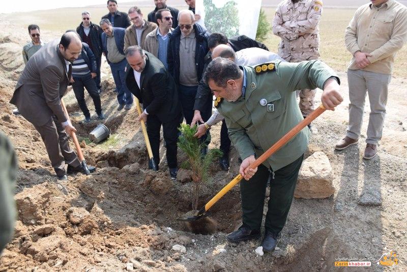 آئین غرس نهال در جاده سد نوروزلوی میاندوآب