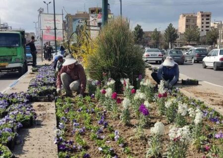 استقبال از بهار با 600 هزار بوته گل در میاندوآب