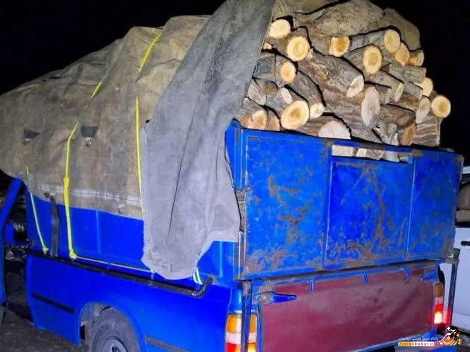 شبکه قاچاق درختان جنگلی در میاندوآب متلاشی شد