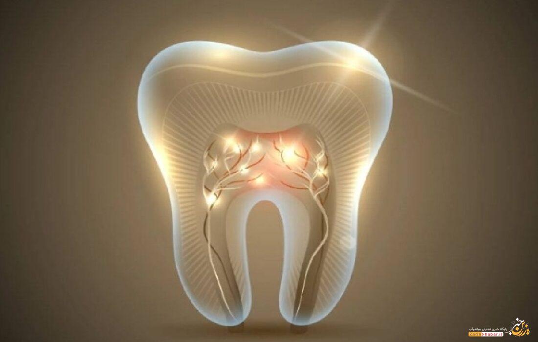 آزمایش اولین داروی رشد مجدد دندان