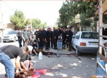 میدان عشق؛ جایی که قربانی نذر ولایت شد
