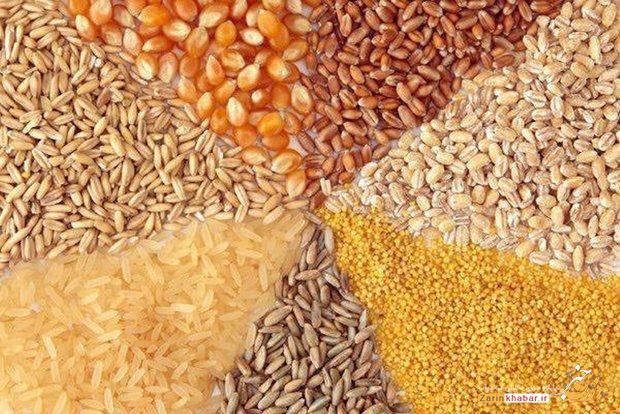 کشف ۶۰ تن خوراک دام غیرمجاز