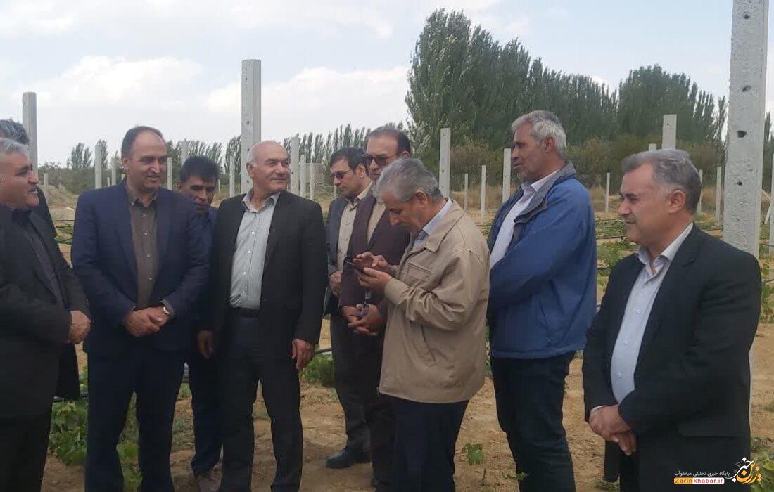 جایگزینی ۸۵ هکتار باغ کمبازده