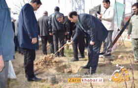 غرس ۵ هزار اصله نهال در میاندوآب