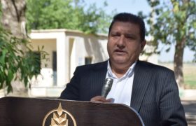 میاندوآب پایتخت نهال کشور می‌شود