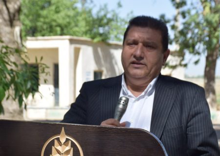 میاندوآب پایتخت نهال کشور می‌شود