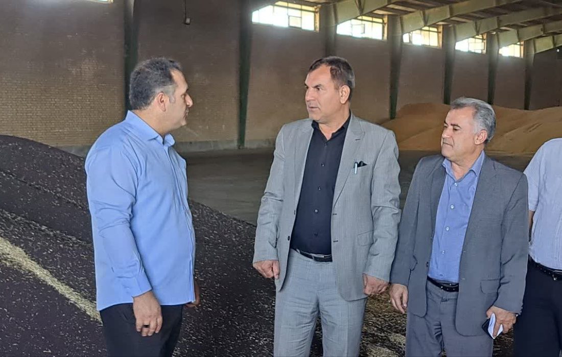 پیش‌بینی تولید ۶۵ هزار تن گندم در میاندوآب