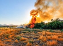 آتش‌سوزی در تالاب نوروزلو میاندوآب مهار شد
