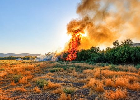 آتش‌سوزی در تالاب نوروزلو میاندوآب مهار شد